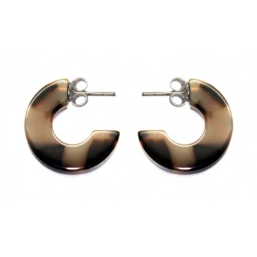 Earrings ANP4