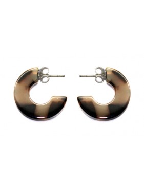 Pendientes ANP4