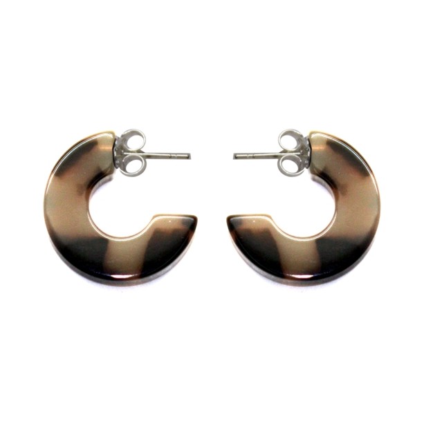 Earrings ANP4