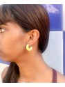 Earrings ANP4