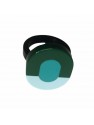 Rings ENCA1