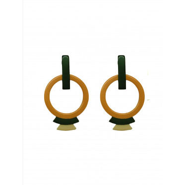 Pair of Earrings INP6