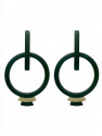 Pair of Earrings INP7