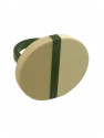Anillo CHIA2