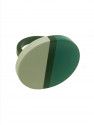 Anillo CHIA2