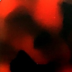 Tortoiseshell Red
